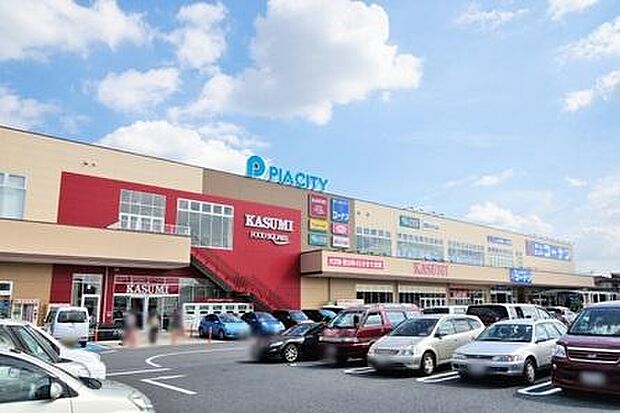 ピアシティ柏中新宿まで400m