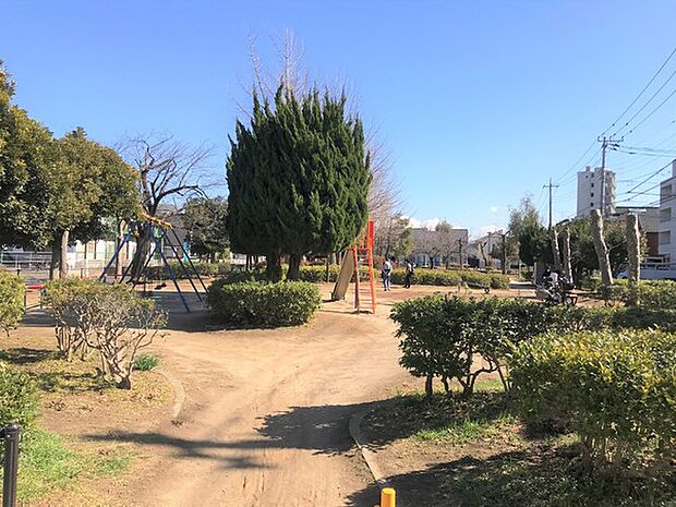 中道公園まで500m