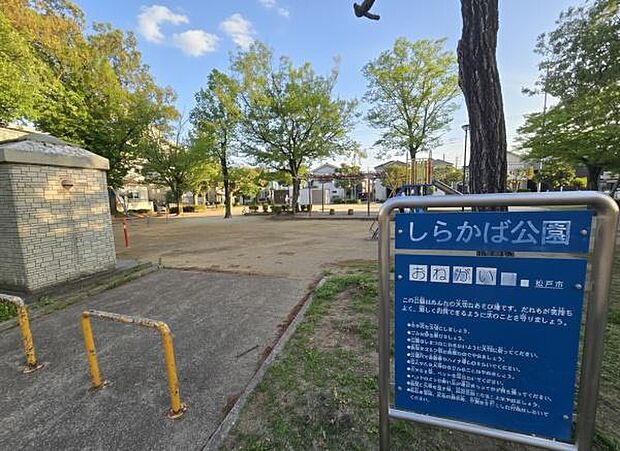 しらかば公園まで550m