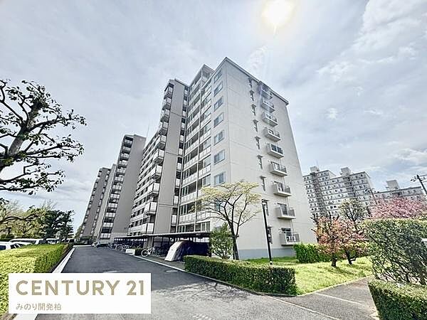 外観：312001225241