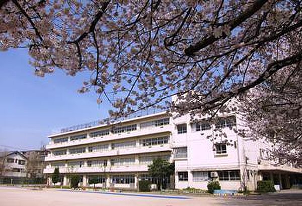 松戸市立牧野原小学校まで1000m