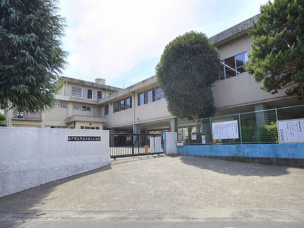 松戸市立常盤平第三小学校まで405m