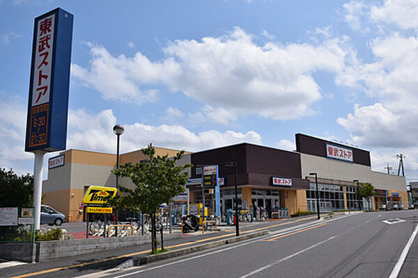 東武ストア逆井店まで1100m
