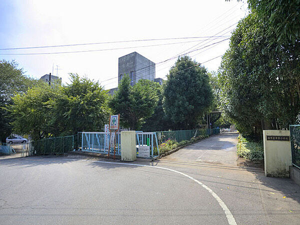 柏市立中原小学校まで900m