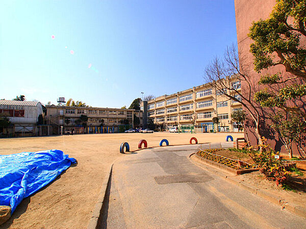 松戸市立小金小学校まで610m
