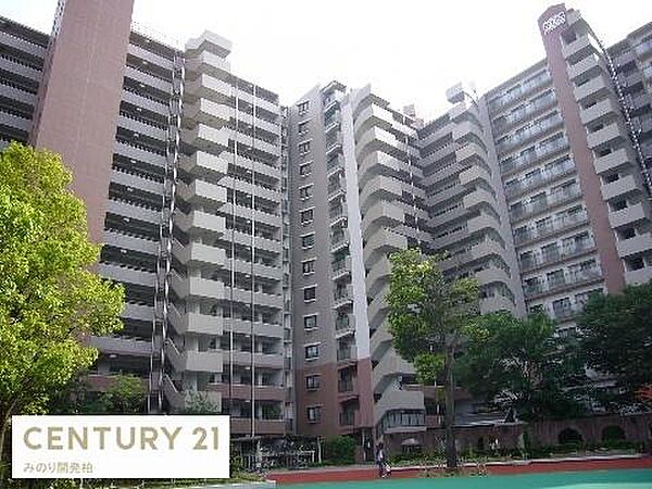 外観：312001338022