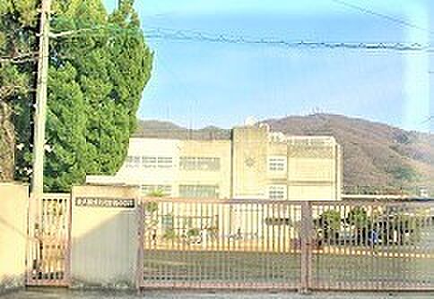 東大阪市立孔舎衙小学校まで1369m