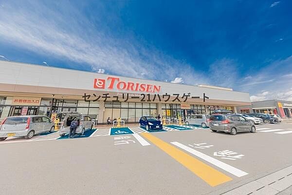 とりせん高根沢店まで311m