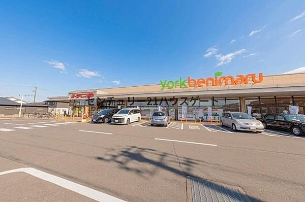 ヨークベニマル 針ヶ谷店まで756m