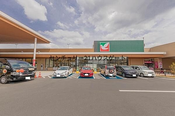 ヨークベニマルミライト一条店まで1239m