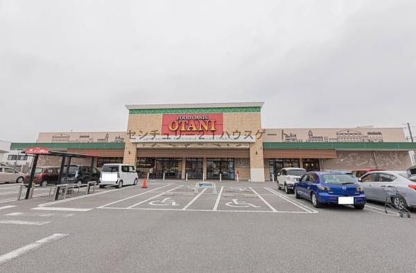 フードオアシスOTANI一の沢店まで683m