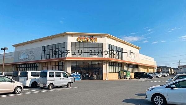 フードオアシスOTANIみずほの店まで1538m