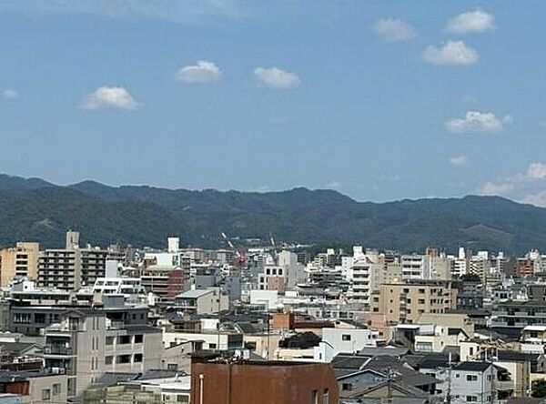 外観：326000265713