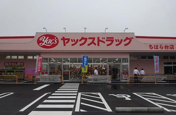 ヤックスドラッグちはら台店まで1100m