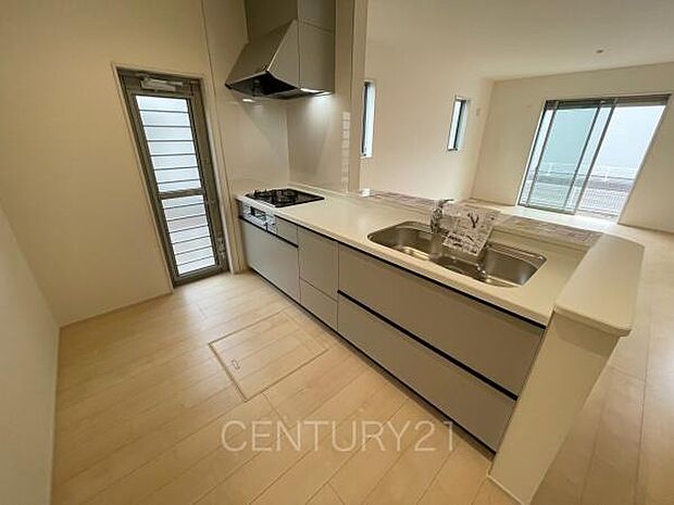 シンクも大きく洗い物もしやすい浄水器付。シャワーヘッドは引き出し可能、シンクの隅々まで洗い流せます。