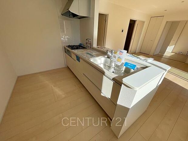 シンクも大きく洗い物もしやすい浄水器付。シャワーヘッドは引き出し可能、シンクの隅々まで洗い流せます。食器洗い乾燥機付きです。