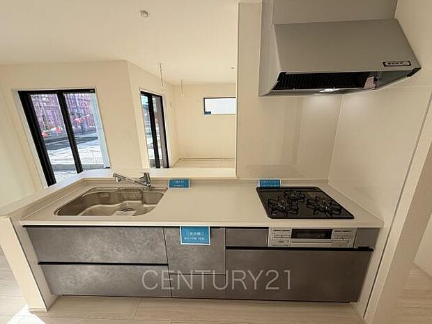 シンクも大きく洗い物もしやすい浄水器付。シャワーヘッドは引き出し可能、シンクの隅々まで洗い流せます。