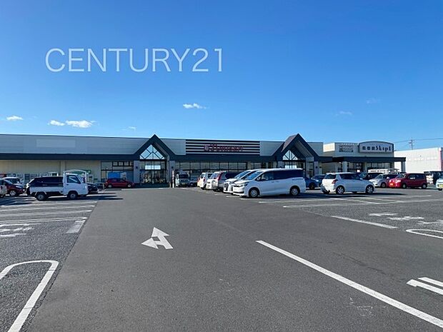 とりせん 下田島店まで1422m