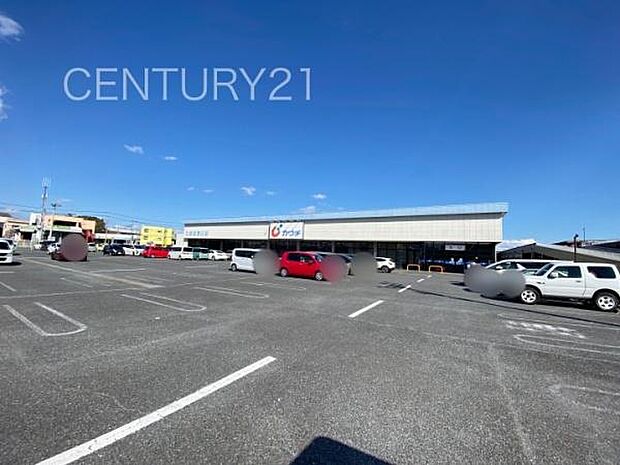 カワチ薬品大八木店まで1469m