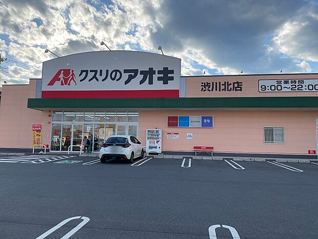 クスリのアオキ渋川北店まで1254m
