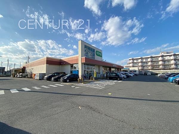 コープ昭和店まで597m