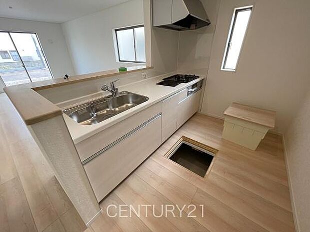 シンクも大きく洗い物もしやすい浄水器付。シャワーヘッドは引き出し可能、シンクの隅々まで洗い流せます。