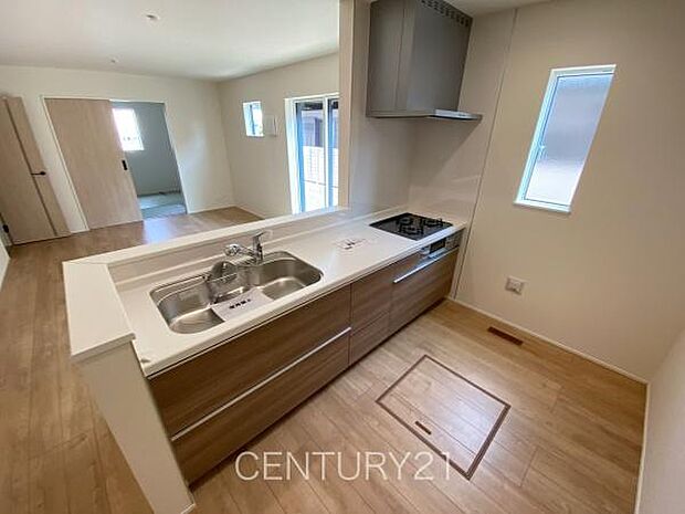 シンクも大きく洗い物もしやすい浄水器付。シャワーヘッドは引き出し可能、シンクの隅々まで洗い流せます。