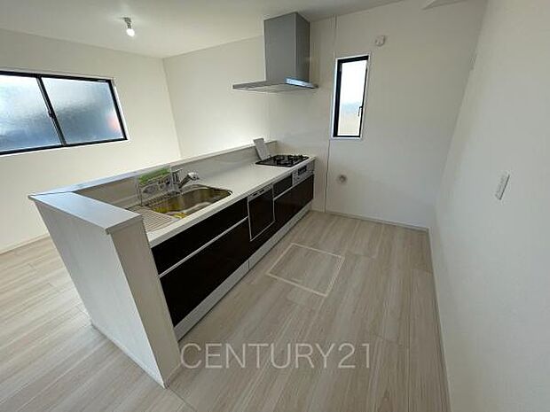 シンクも大きく洗い物もしやすい浄水器付。シャワーヘッドは引き出し可能、シンクの隅々まで洗い流せます。食器洗い乾燥機付きです。