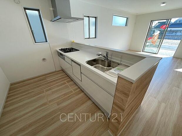 シンクも大きく洗い物もしやすい浄水器付。シャワーヘッドは引き出し可能、シンクの隅々まで洗い流せます。