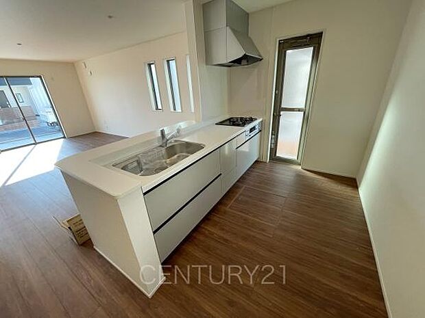 シンクも大きく洗い物もしやすい浄水器付。シャワーヘッドは引き出し可能、シンクの隅々まで洗い流せます。