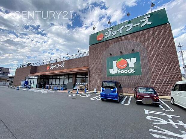 ジョイフーズ高崎上佐野店まで728m