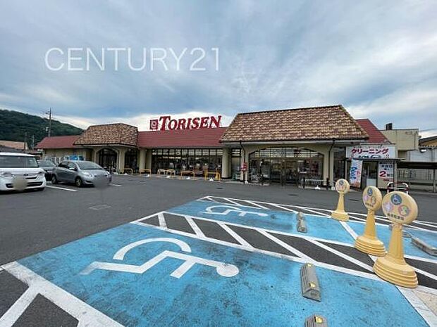 とりせん豊岡店まで598m