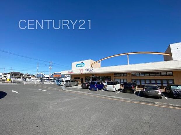 ウエルシア前橋天川大島2号店まで1206m