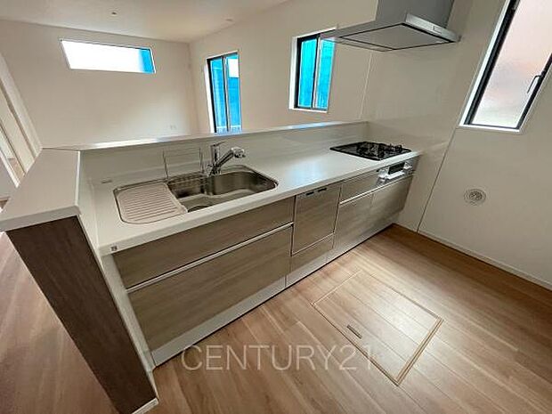 シンクも大きく洗い物もしやすい浄水器付。シャワーヘッドは引き出し可能、シンクの隅々まで洗い流せます。