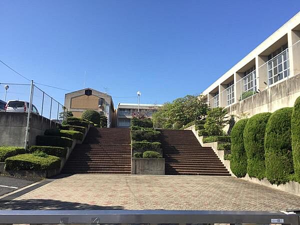 真美ケ丘中学校まで806m