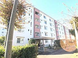 東高森団地3号棟