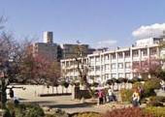 寒川町立一之宮小学校まで352m