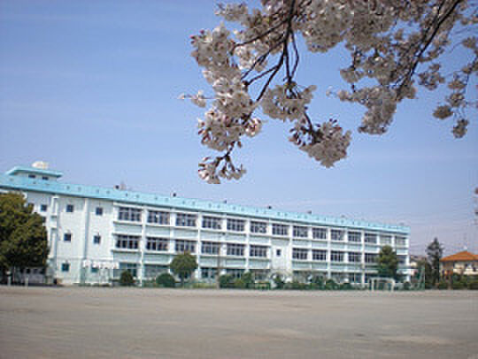座間市立相模野小学校まで1147m