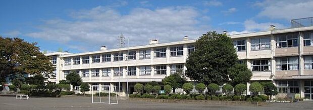 寒川町立旭小学校まで776m