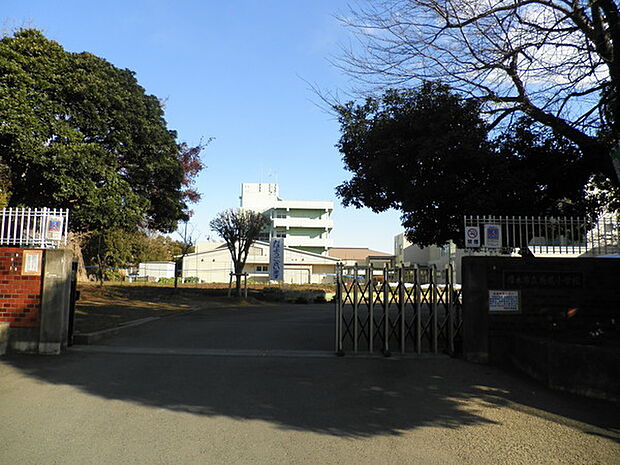 厚木市立鳶尾小学校まで987m