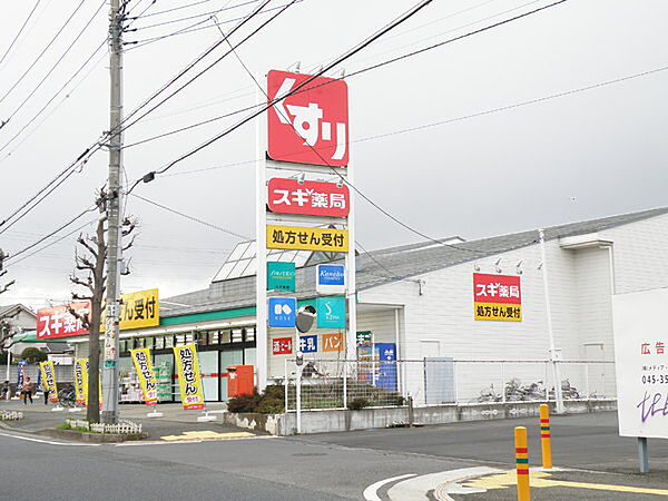 スギ薬局厚木愛甲店まで1385m