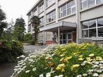 海老名市立海老名小学校まで1321m