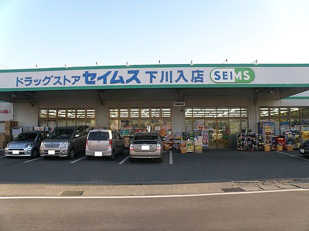 ドラッグセイムス下川入店まで655m