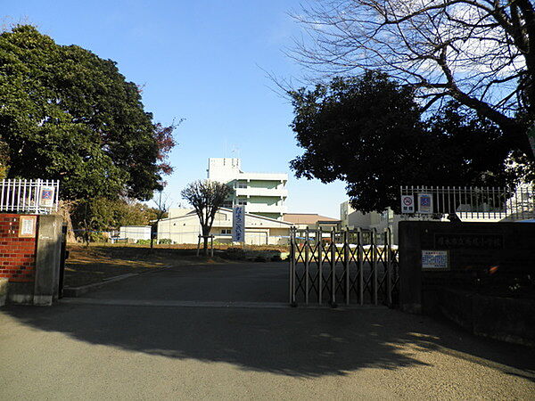 厚木市立鳶尾小学校まで797m