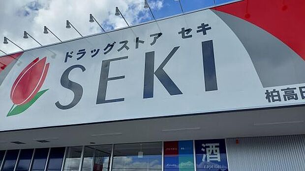 ドラッグストアセキ柏高田店まで317m