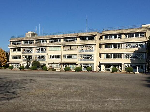 柏市立酒井根西小学校まで800m