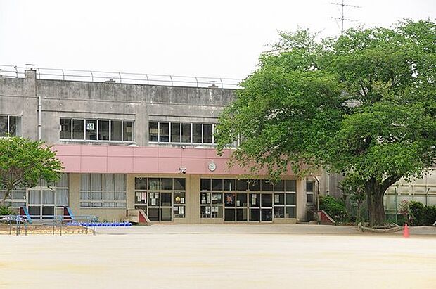 柏市立豊小学校まで459m