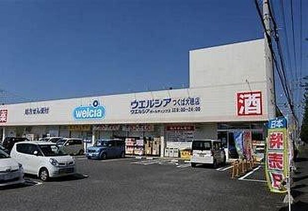 ウエルシアつくば大穂店まで1000m