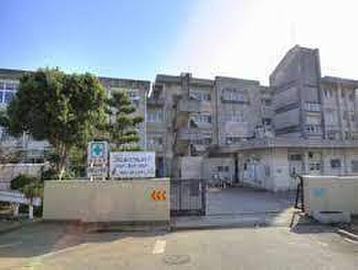 我孫子市立高野山小学校まで600m