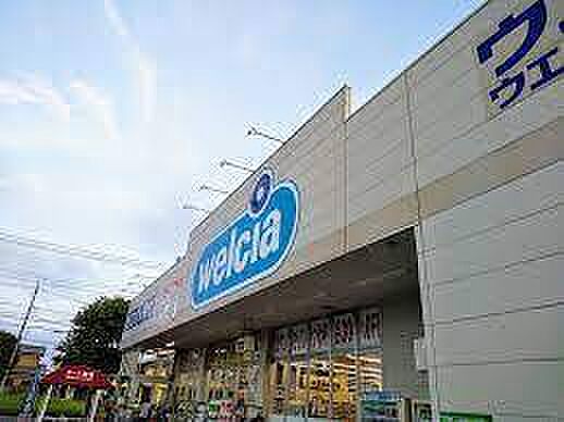 ウエルシア取手新戸頭店まで1244m